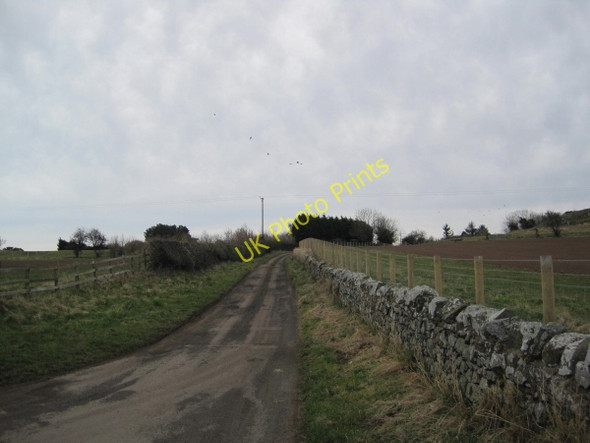 Photo 6"x4" Track to Easington Waren Mill c2010