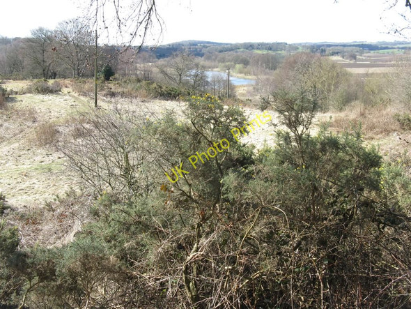 Photo 6"x4" The valley of the River Avon from near Linlithgow Bridge Linlithgow c2010