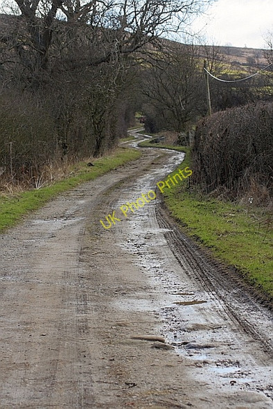 Photo 6"x4" Track to Studstyle Farm The Grange\/SE5796 c2010