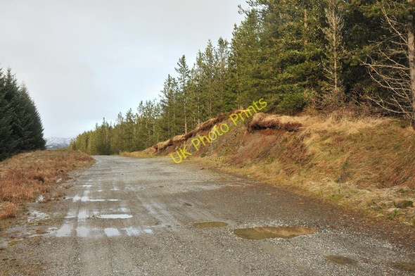 Photo 6"x4" Forest road near Brackletter Highbridge\/NN1981 c2010