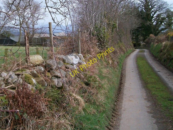 Photo 6"x4" Country lane above Cadair Elwa Farm Rhosgyll c2010