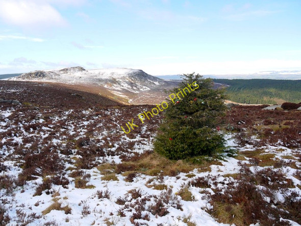 Photo 6"x4" Simonside Hills from Dove Crag Newtown\/NU0300 c2010