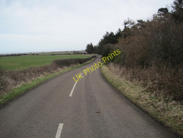 Photo 6"x4" Road to Elwick and Bamburgh Detchant c2010