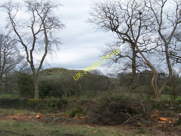 Photo 6"x4" Farmland off the B4411 with Moel Ednyfed in the background Criccieth c2010