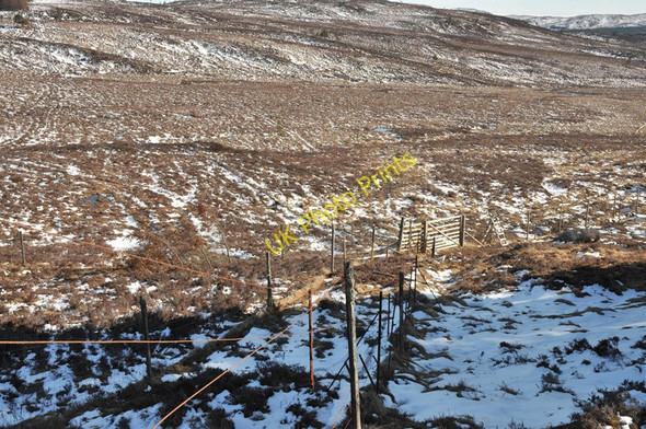 Photo 6"x4" Meeting point of various fences Crask of Aigas c2010
