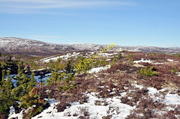 Photo 6"x4" Buachaille Breige Crask of Aigas c2010