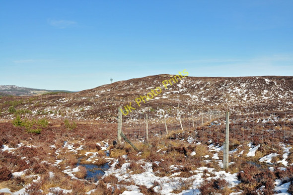 Photo 6"x4" Path across the moorland Crask of Aigas c2010