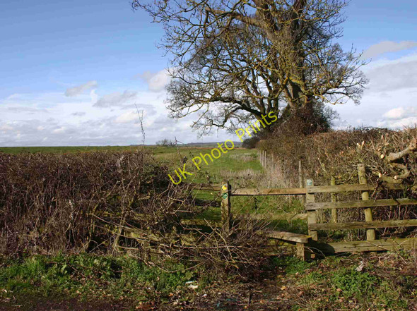 Photo 6"x4" Footpath to Pillerton Hersey from A422 Pillerton Hersey c2010