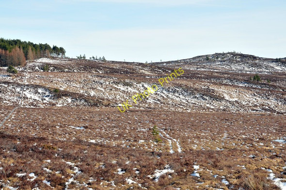Photo 6"x4" Unmarked track across the moorland Crask of Aigas c2010