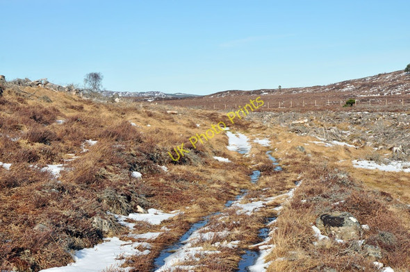 Photo 6"x4" Path through the cleared forest Crask of Aigas c2010