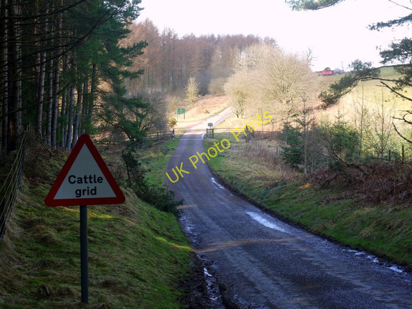 Photo 6"x4" Cattle grid, Simonside Newtown\/NU0300 c2010