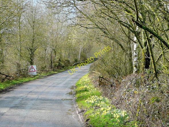 Photo 6"x4" Kempley Road Shaw Common c2010
