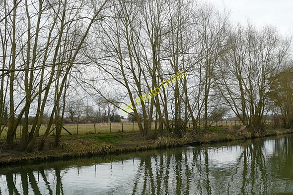 Photo 6"x4" Riverside path Wallingford c2010