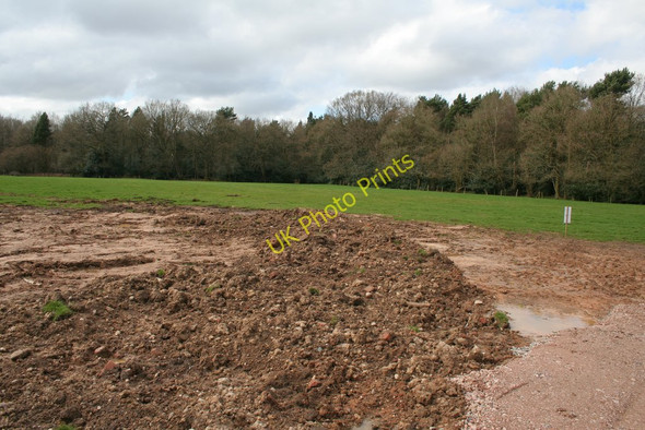 Photo 6"x4" Hay Wood Wroxhall c2010