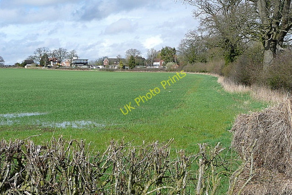 Photo 6"x4" Fields at Beech Hill Beech Hill\/SU6964 c2010