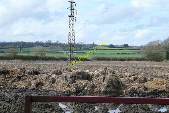 Photo 6"x4" Field at Faircross Stanford End c2010