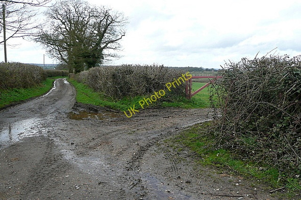 Photo 6"x4" Lane to Stanford End Riseley\/SU7263 c2010