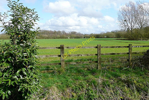 Photo 6"x4" Field at Park Corner Riseley\/SU7263 c2010 P1