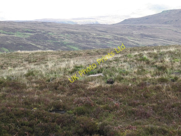 Photo 6"x4" Moorland in Glen Haultin Annishader c2006
