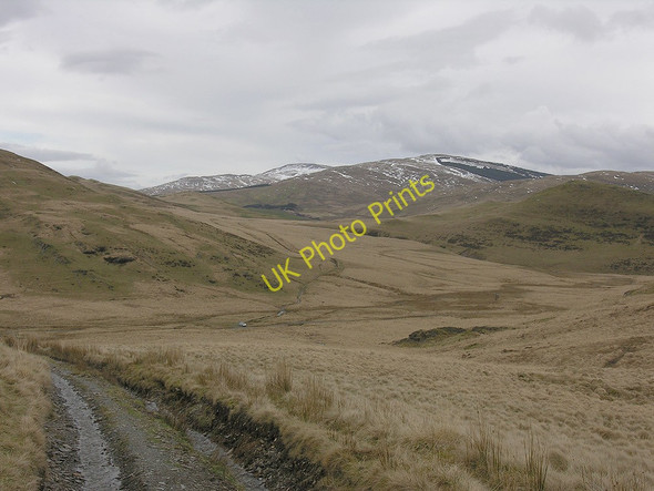 Photo 6"x4" Track descending from Esgair Gorlan Cwmsymlog c2010