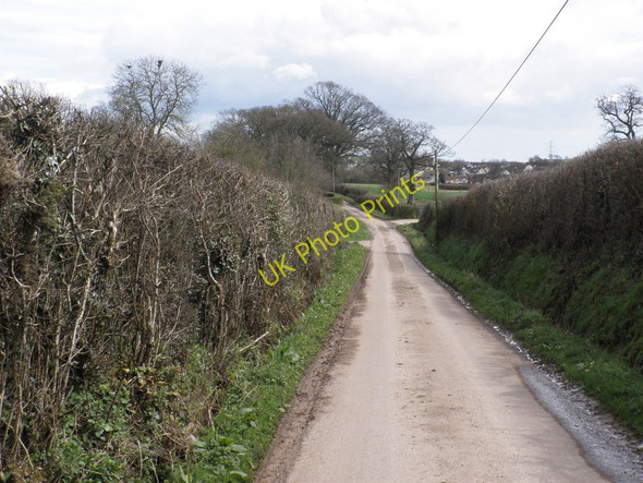 Photo 6"x4" Minor road to Payhembury Payhembury c2010