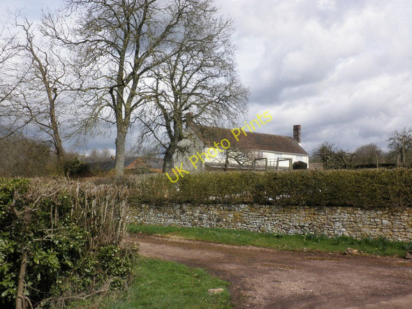 Photo 6"x4" Cokesputt, near Payhembury Payhembury c2010