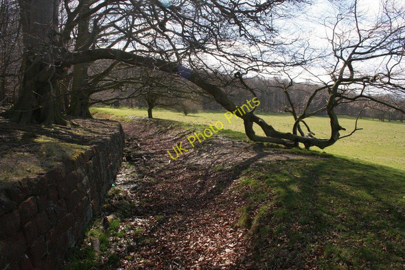 Photo 6"x4" Ha-ha, Harewood Estate Wike c2010