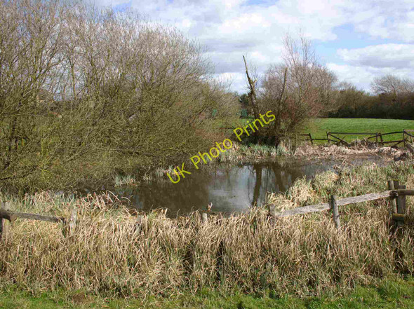 Photo 6"x4" Pond next to Centenary Way footpath, Whatcote Whatcote c2010