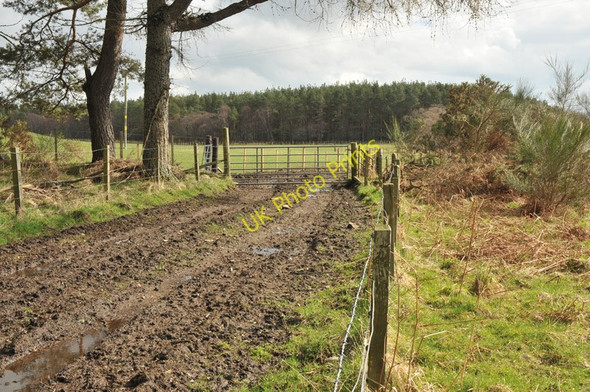 Photo 6"x4" Muddy farm track Ardvannie c2010