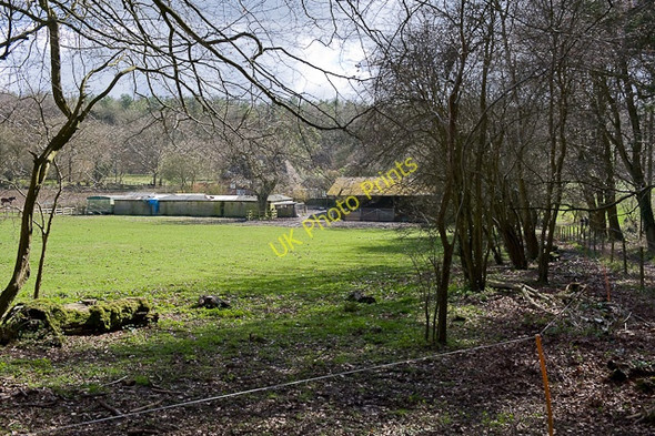 Photo 6"x4" Steynes Farm Dean\/SU5619 c2010