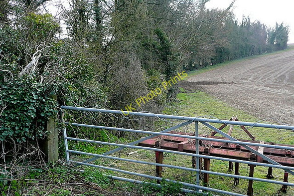 Photo 6"x4" Field entrance Cliddesden c2010