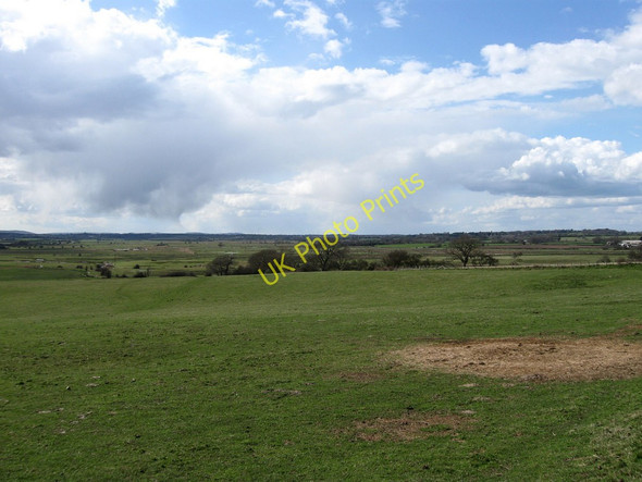 Photo 6"x4" Little Nolneys (1) Golden Cross\/TQ6310 c2010