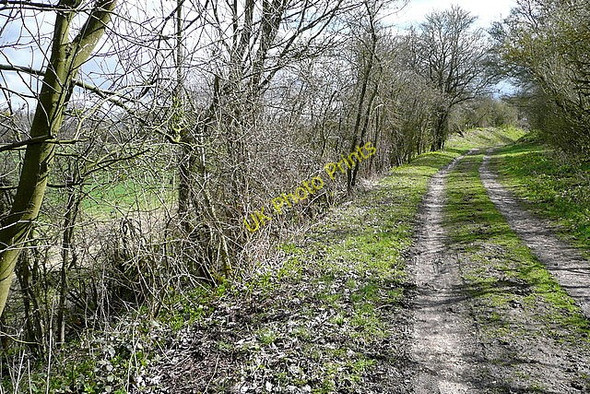 Photo 6"x4" Track of the old railway Winslade\/SU6548 c2010