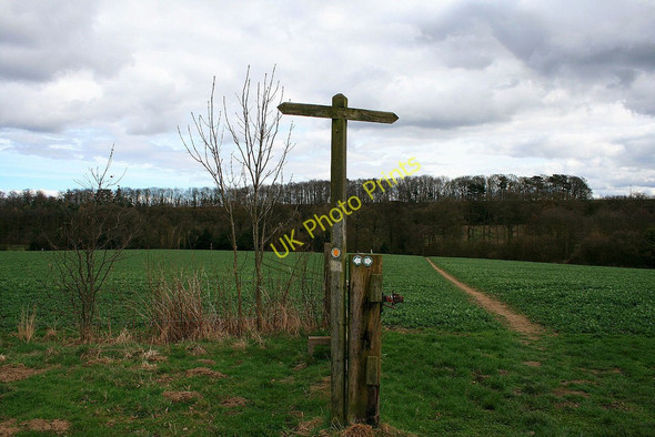 Photo 6"x4" Various path markers Scotland\/SK3822 c2010