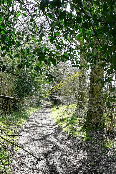 Photo 6"x4" Bridleway towards Weston Common Weston Patrick c2010