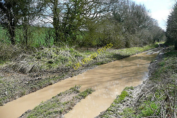 Photo 6"x4" Bridleway to Weston Common Weston Corbett c2010