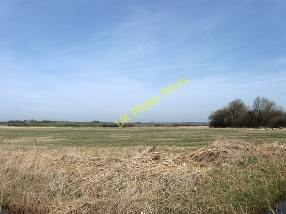 Photo 6"x4" Twelve Acres Wartling c2010