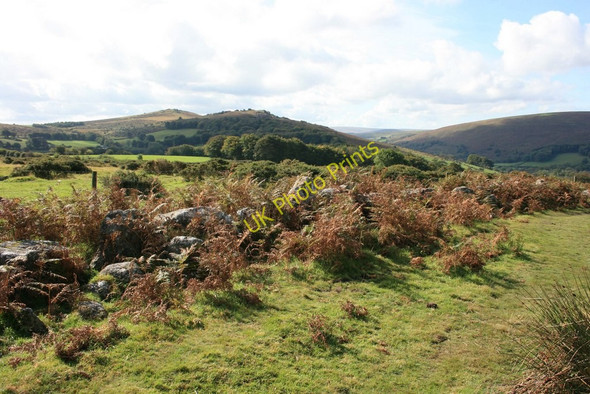 Photo 6"x4" Cripdon Down Bonehill\/SX7277 c2009