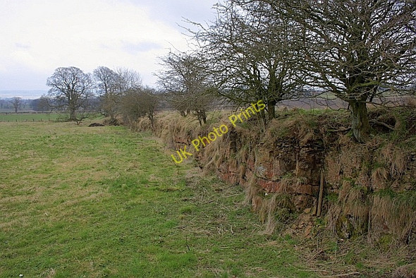 Photo 6"x4" Crag, Greencarts Simonburn c2010