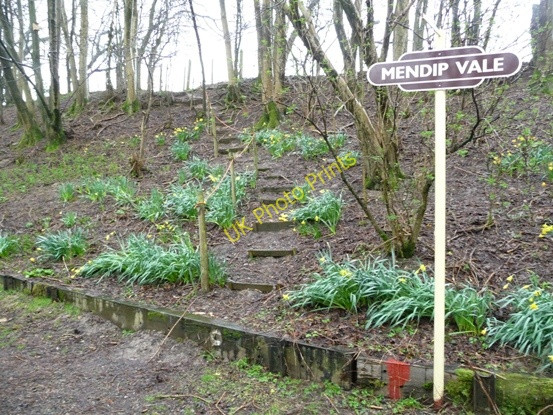 Photo 6"x4" Footpath out of Mendip Vale station Shepton Mallet c2010
