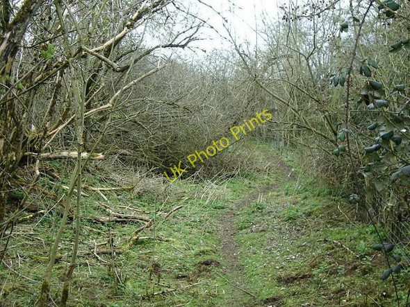 Photo 6"x4" Overgrown footpath, near Shawell Gibbet Hill\/SP5280 c2010