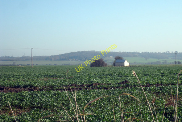 Photo 6"x4" Crop Fields near Bellfield Farm Newchurch\/TR0531 c2010