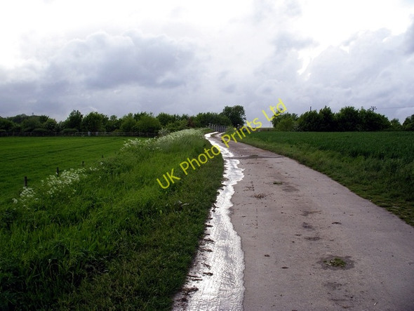 Photo 6"x4" Track at Grace Farm, north east of Abbots Worthy Kings Worthy c2006