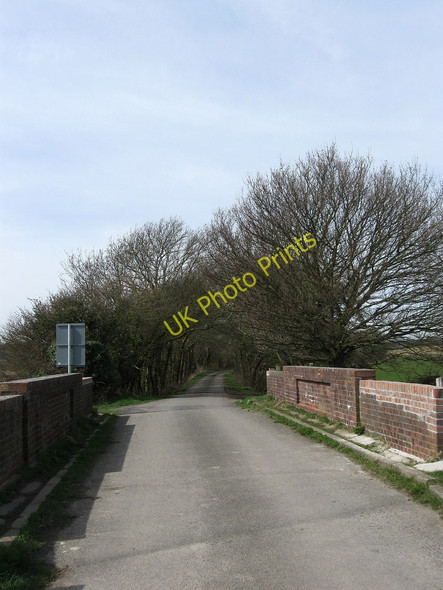 Photo 6"x4" Horse Walk Wartling c2010