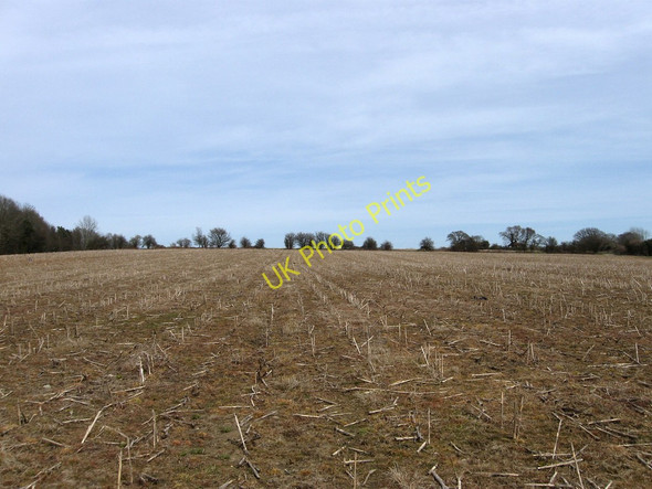 Photo 6"x4" Ten Acres Wartling c2010