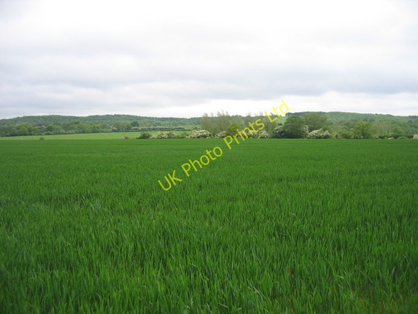 Photo 6"x4" View towards Shortwood Cobley Hill c2006