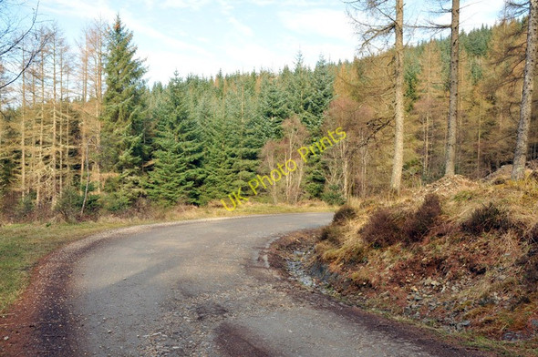 Photo 6"x4" Forestry road at Inchree Inchree c2010