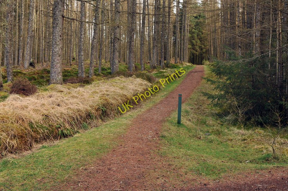 Photo 6"x4" Waymarked path near Inchree Inchree c2010