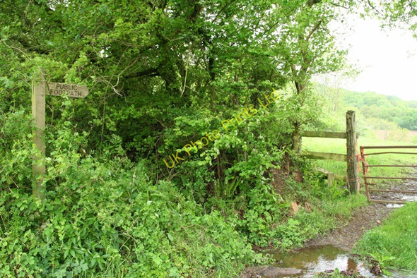 Photo 6"x4" Wellington: footpath to Beacon Lane Farm Simonsburrow c2006