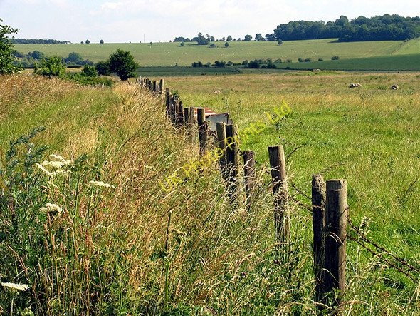 Photo 6"x4" Farmland and Byway near Upper Lambourn Upper Lambourn c2005